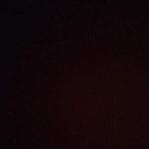 Meet your Posher, Katty